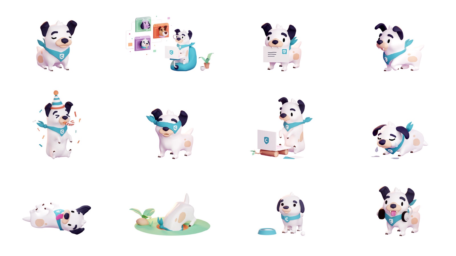 Collie dog in different poses